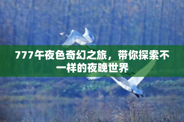 777午夜色奇幻之旅，带你探索不一样的夜晚世界