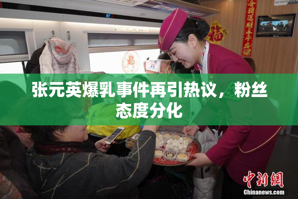 张元英爆乳事件再引热议，粉丝态度分化