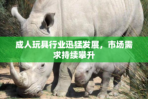成人玩具行业迅猛发展，市场需求持续攀升