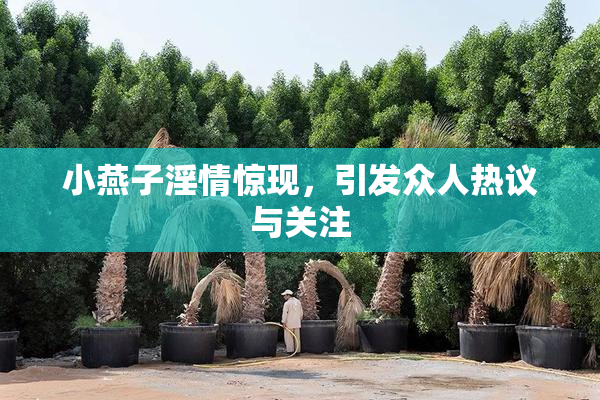 小燕子淫情惊现，引发众人热议与关注