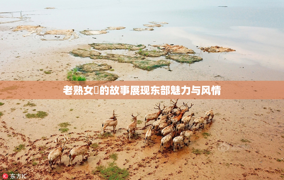 老熟女黃的故事展现东部魅力与风情