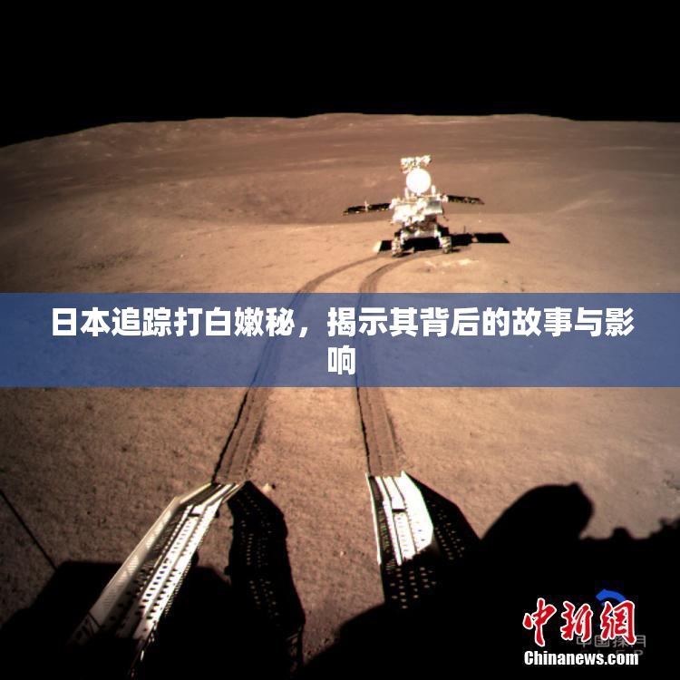 日本追踪打白嫩秘，揭示其背后的故事与影响