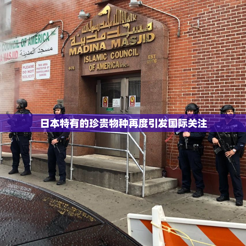日本特有的珍贵物种再度引发国际关注