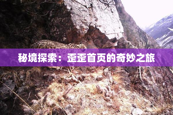 秘境探索：歪歪首页的奇妙之旅