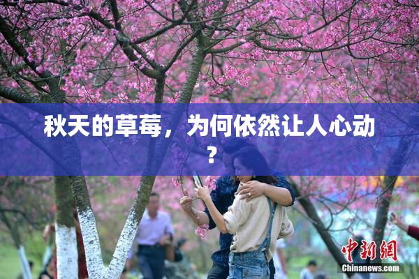 秋天的草莓，为何依然让人心动？