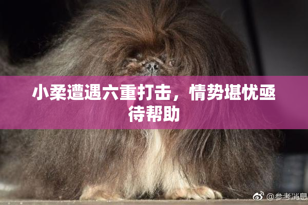 小柔遭遇六重打击，情势堪忧亟待帮助