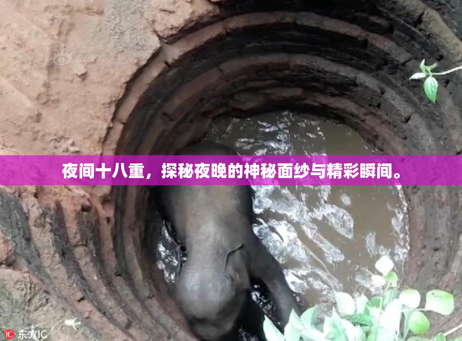 夜间十八重，探秘夜晚的神秘面纱与精彩瞬间。