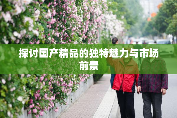 探讨国产精品的独特魅力与市场前景