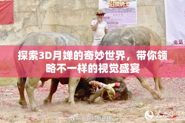 探索3D月婵的奇妙世界，带你领略不一样的视觉盛宴