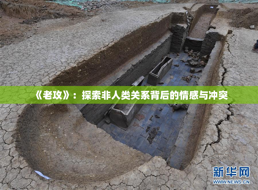 《老攻》：探索非人类关系背后的情感与冲突