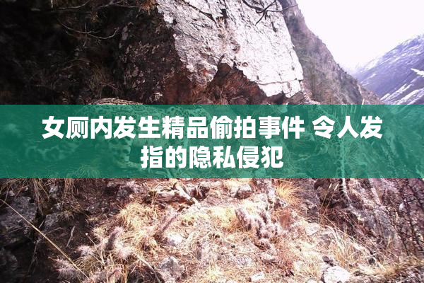 女厕内发生精品偷拍事件 令人发指的隐私侵犯