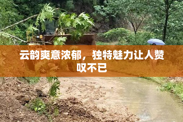 云韵爽意浓郁，独特魅力让人赞叹不已