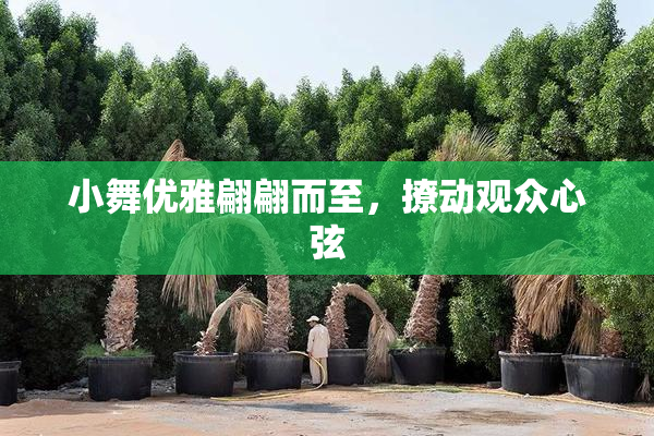 小舞优雅翩翩而至，撩动观众心弦
