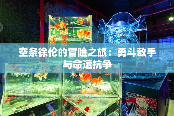 空条徐伦的冒险之旅：勇斗敌手与命运抗争