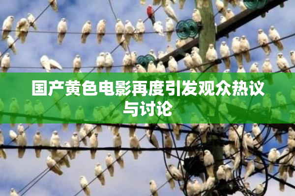 国产黄色电影再度引发观众热议与讨论