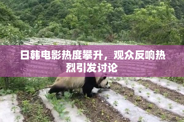 日韩电影热度攀升，观众反响热烈引发讨论