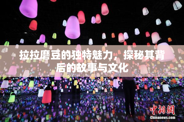 拉拉磨豆的独特魅力，探秘其背后的故事与文化