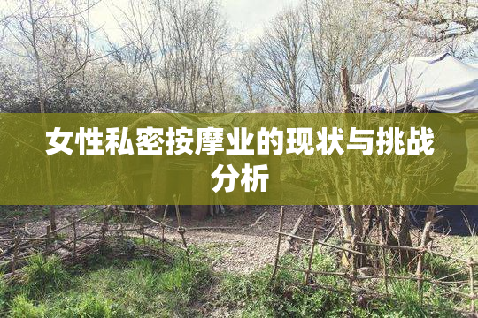 女性私密按摩业的现状与挑战分析