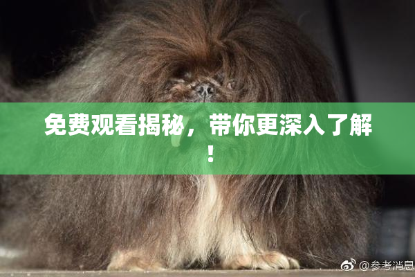 免费观看揭秘，带你更深入了解！