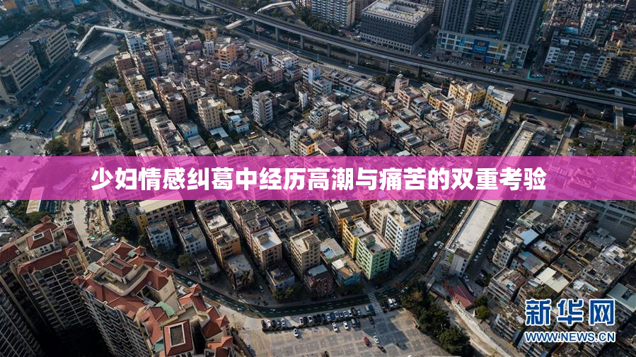 少妇情感纠葛中经历高潮与痛苦的双重考验