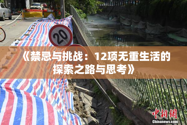 《禁忌与挑战：12项无重生活的探索之路与思考》