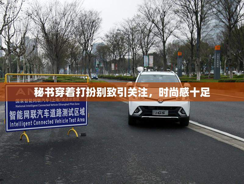 秘书穿着打扮别致引关注，时尚感十足