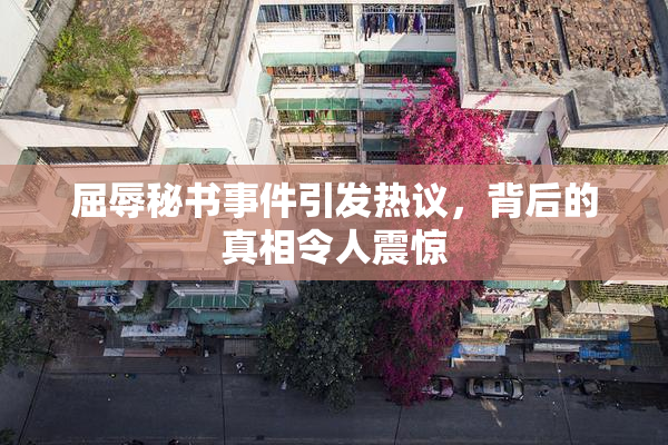 屈辱秘书事件引发热议，背后的真相令人震惊