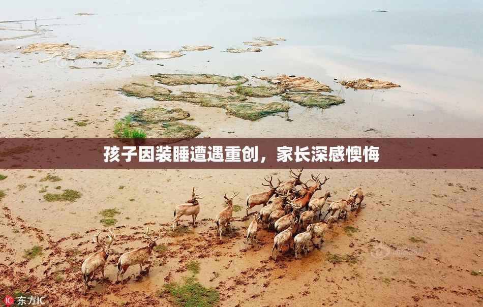 孩子因装睡遭遇重创，家长深感懊悔