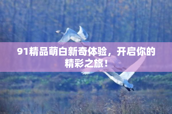 91精品萌白新奇体验，开启你的精彩之旅！