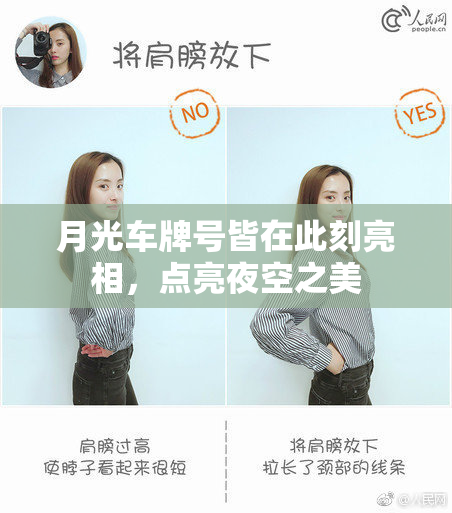 月光车牌号皆在此刻亮相，点亮夜空之美