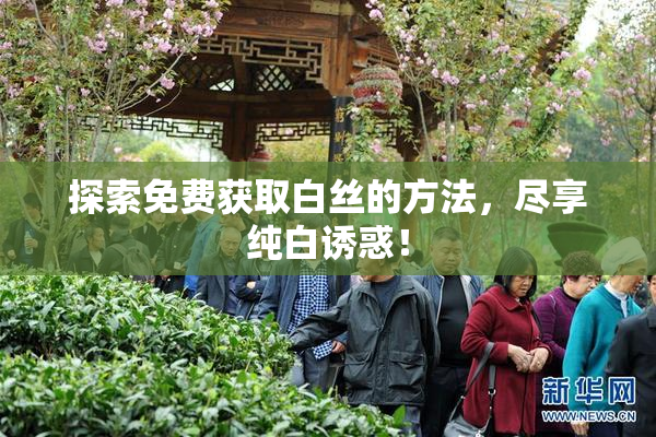 探索免费获取白丝的方法，尽享纯白诱惑！
