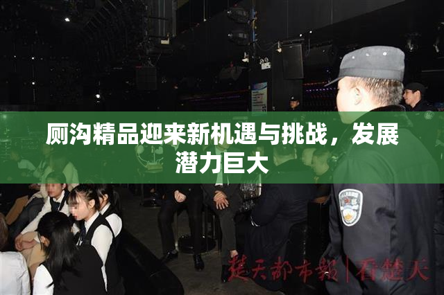 厕沟精品迎来新机遇与挑战，发展潜力巨大