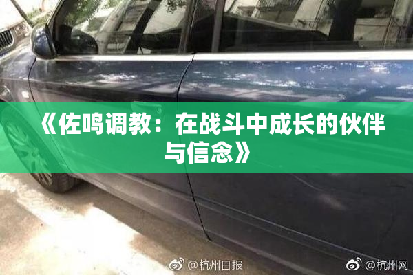《佐鸣调教：在战斗中成长的伙伴与信念》