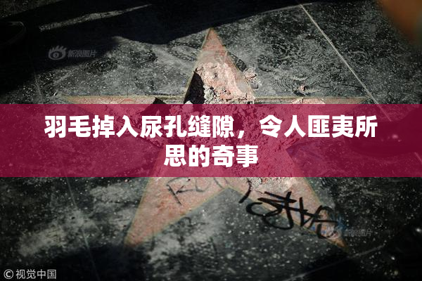 羽毛掉入尿孔缝隙，令人匪夷所思的奇事