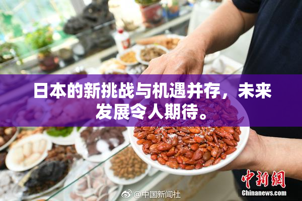 日本的新挑战与机遇并存，未来发展令人期待。
