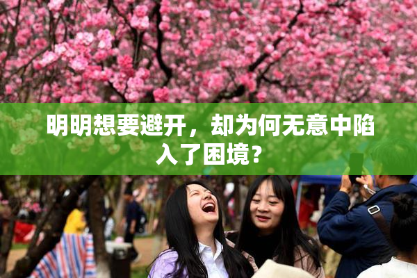 明明想要避开，却为何无意中陷入了困境？