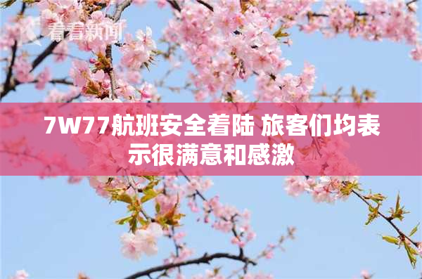 7W77航班安全着陆 旅客们均表示很满意和感激