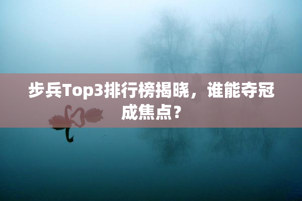 步兵Top3排行榜揭晓，谁能夺冠成焦点？