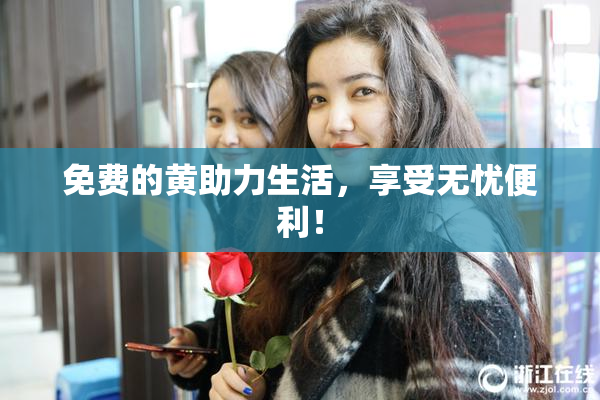 免费的黄助力生活，享受无忧便利！