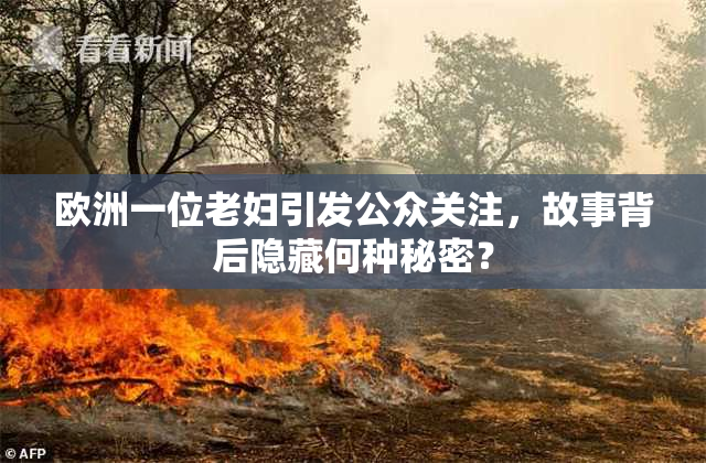 欧洲一位老妇引发公众关注，故事背后隐藏何种秘密？