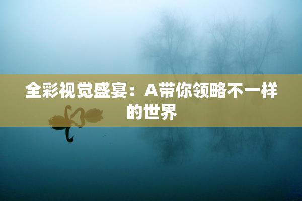 全彩视觉盛宴：A带你领略不一样的世界