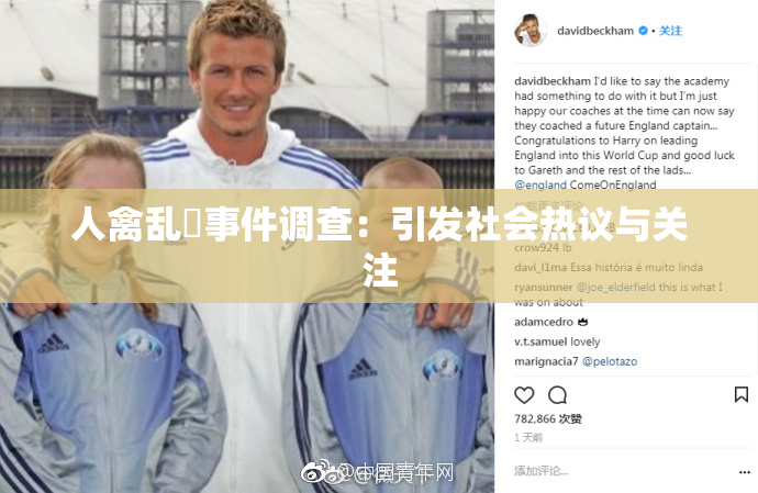 人禽乱婬事件调查：引发社会热议与关注