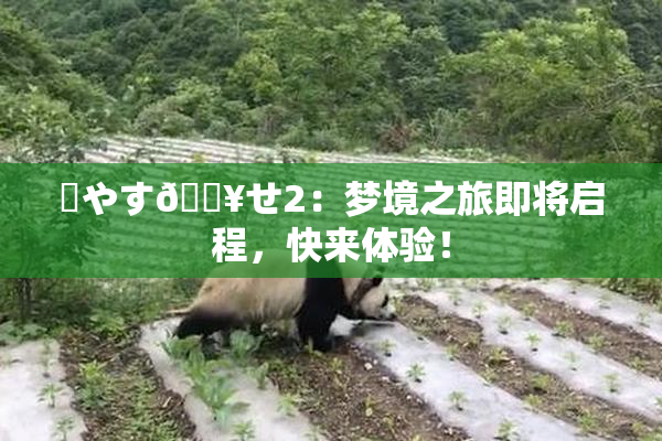 ✿やす🔥せ2：梦境之旅即将启程，快来体验！