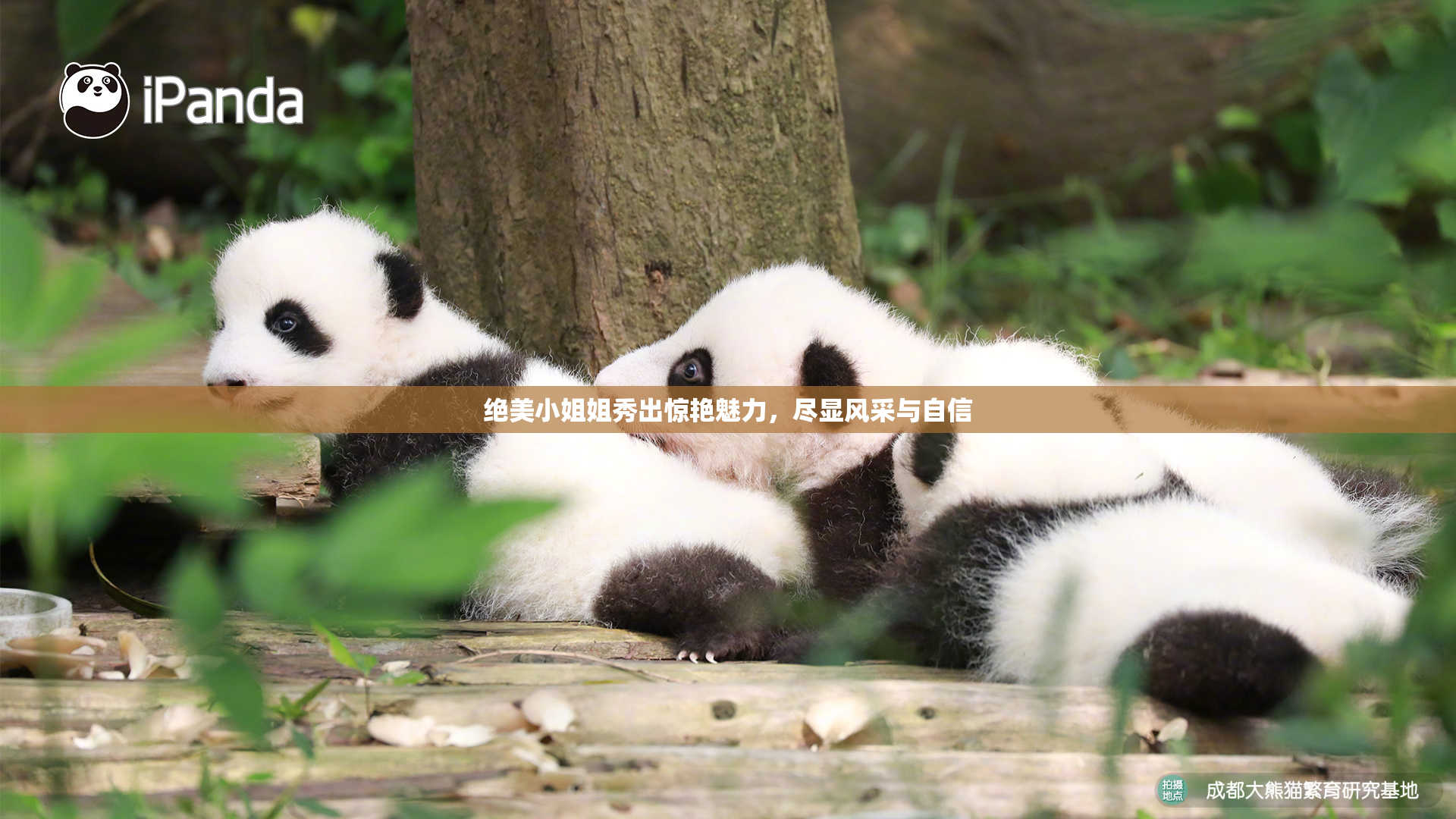 绝美小姐姐秀出惊艳魅力，尽显风采与自信