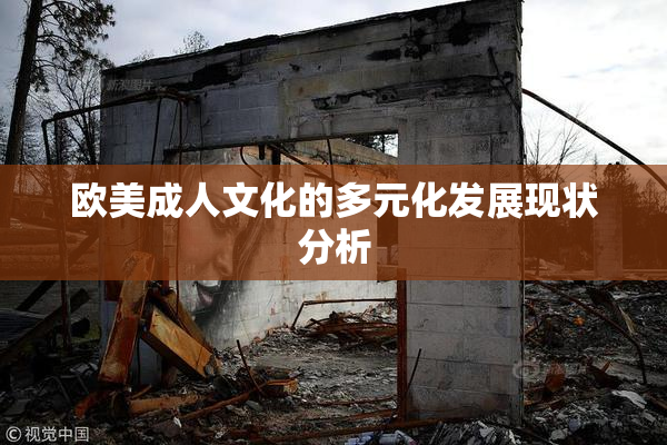 欧美成人文化的多元化发展现状分析