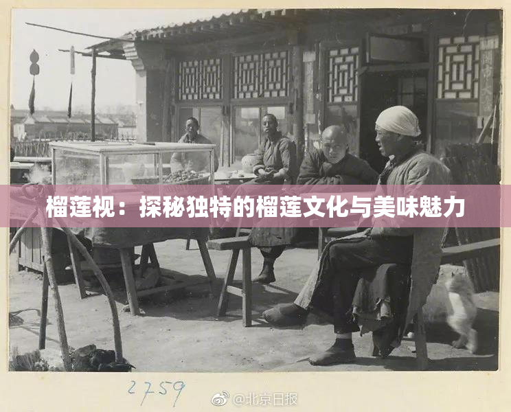 榴莲视：探秘独特的榴莲文化与美味魅力