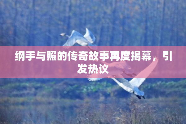 纲手与照的传奇故事再度揭幕，引发热议