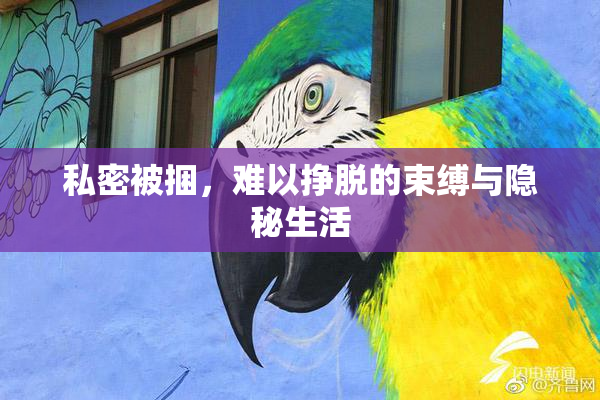 私密被捆，难以挣脱的束缚与隐秘生活