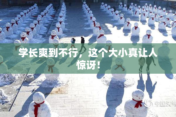 学长爽到不行，这个大小真让人惊讶！