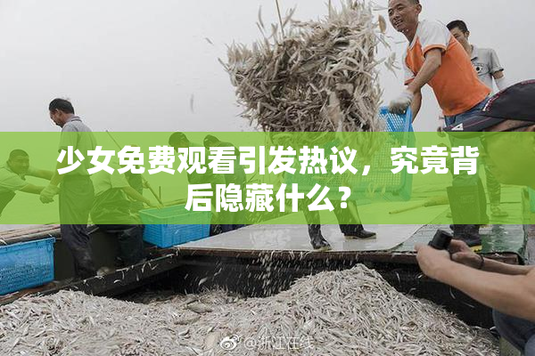 少女免费观看引发热议，究竟背后隐藏什么？